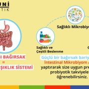 İntestinal Mikrobiyom Analizi