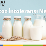 Laktoz İntoleransı